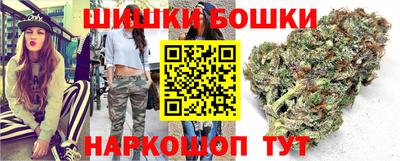 сатива Будённовск