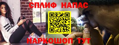 сатива Будённовск