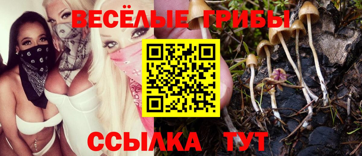 Псилоцибиновые грибы Magic Shrooms  Псилоцибиновые грибы GOLDEN TEACHER  даркнет сайт  Вход с VPN  Рыбинск 